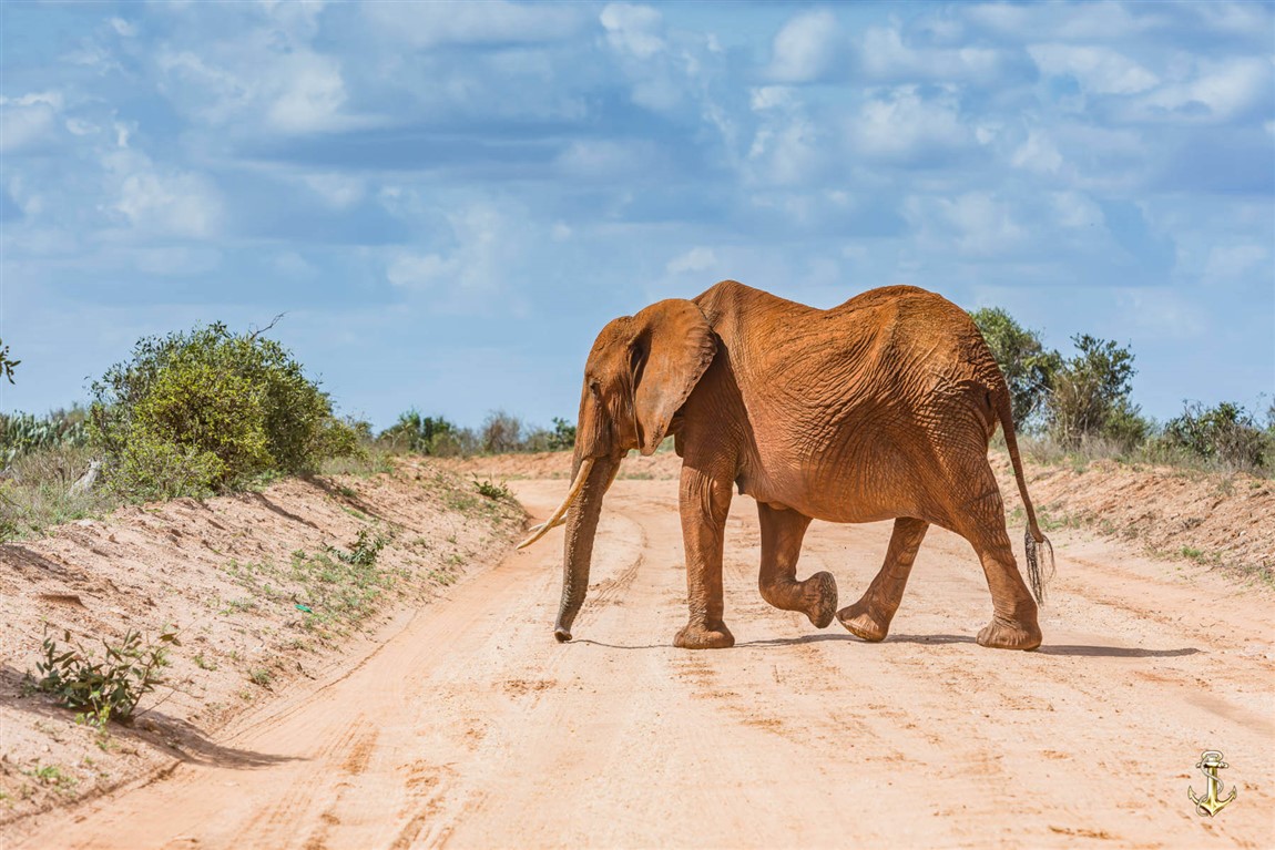 Karfe Tours & Safaris | Kenya safaris, East Africa Tour Operators, Mombasa Safaris, Nairobi Safaris