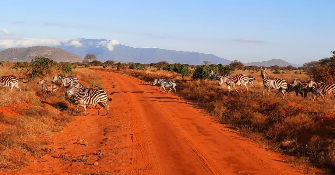 Karfe Tours & Safaris | Kenya safaris, East Africa Tour Operators, Mombasa Safaris, Nairobi Safaris