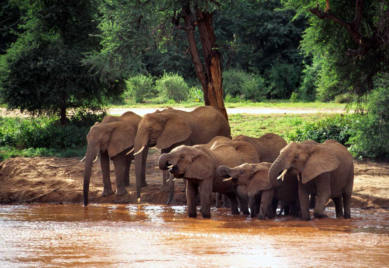 Karfe Tours & Safaris | Kenya safaris, East Africa Tour Operators, Mombasa Safaris, Nairobi Safaris