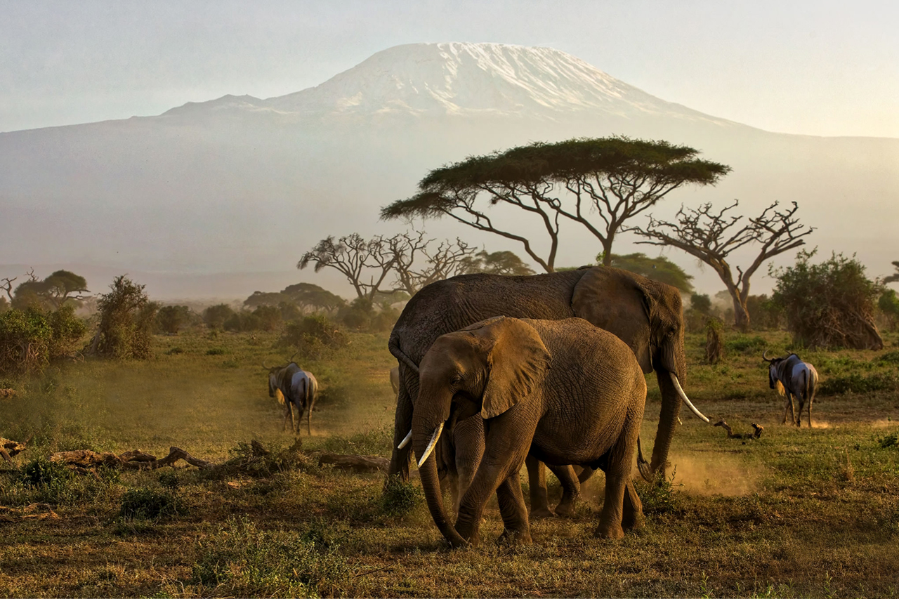 Karfe Tours & Safaris | Kenya safaris, East Africa Tour Operators, Mombasa Safaris, Nairobi Safaris