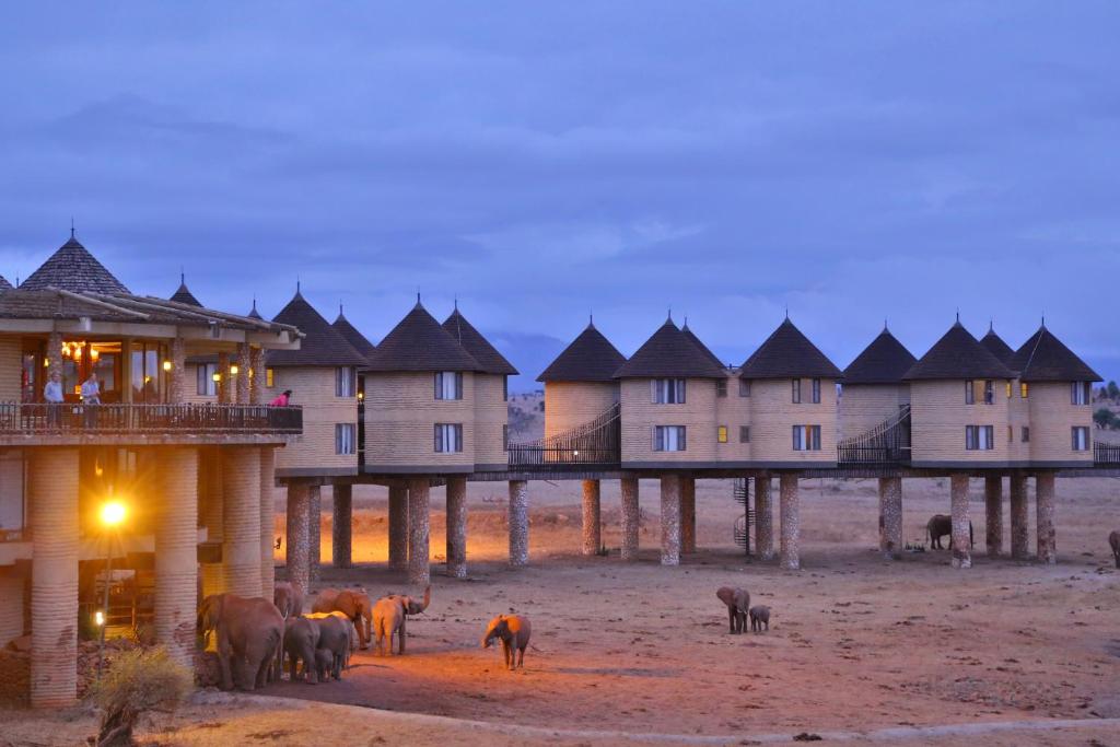Karfe Tours & Safaris | Kenya safaris, East Africa Tour Operators, Mombasa Safaris, Nairobi Safaris