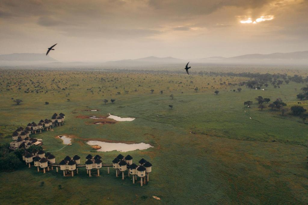 Karfe Tours & Safaris | Kenya safaris, East Africa Tour Operators, Mombasa Safaris, Nairobi Safaris