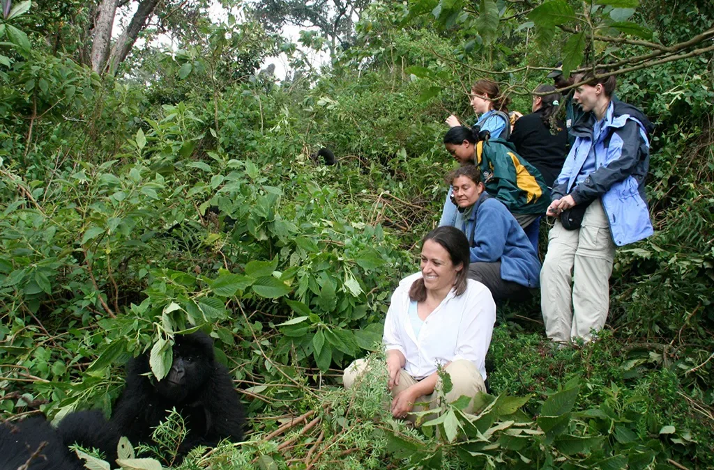 Karfe Tours & Safaris | Kenya safaris, East Africa Tour Operators, Mombasa Safaris, Nairobi Safaris