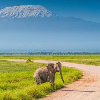 Amboseli