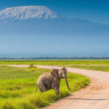 Amboseli
