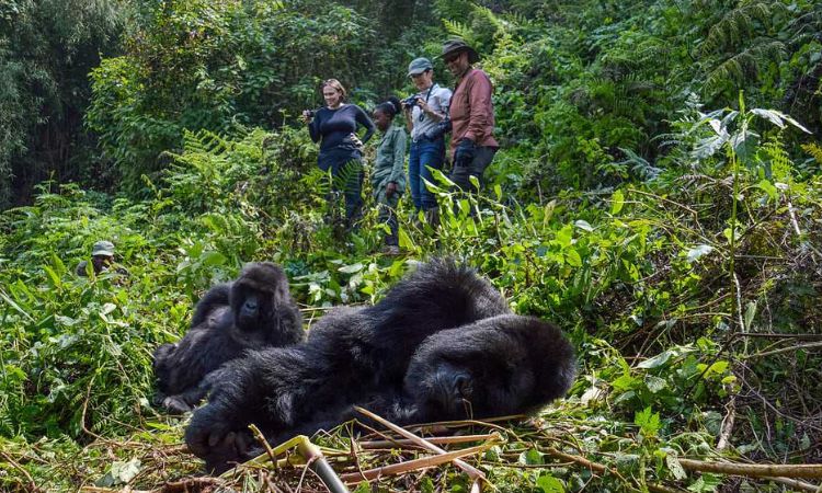 Karfe Tours & Safaris | Kenya safaris, East Africa Tour Operators, Mombasa Safaris, Nairobi Safaris