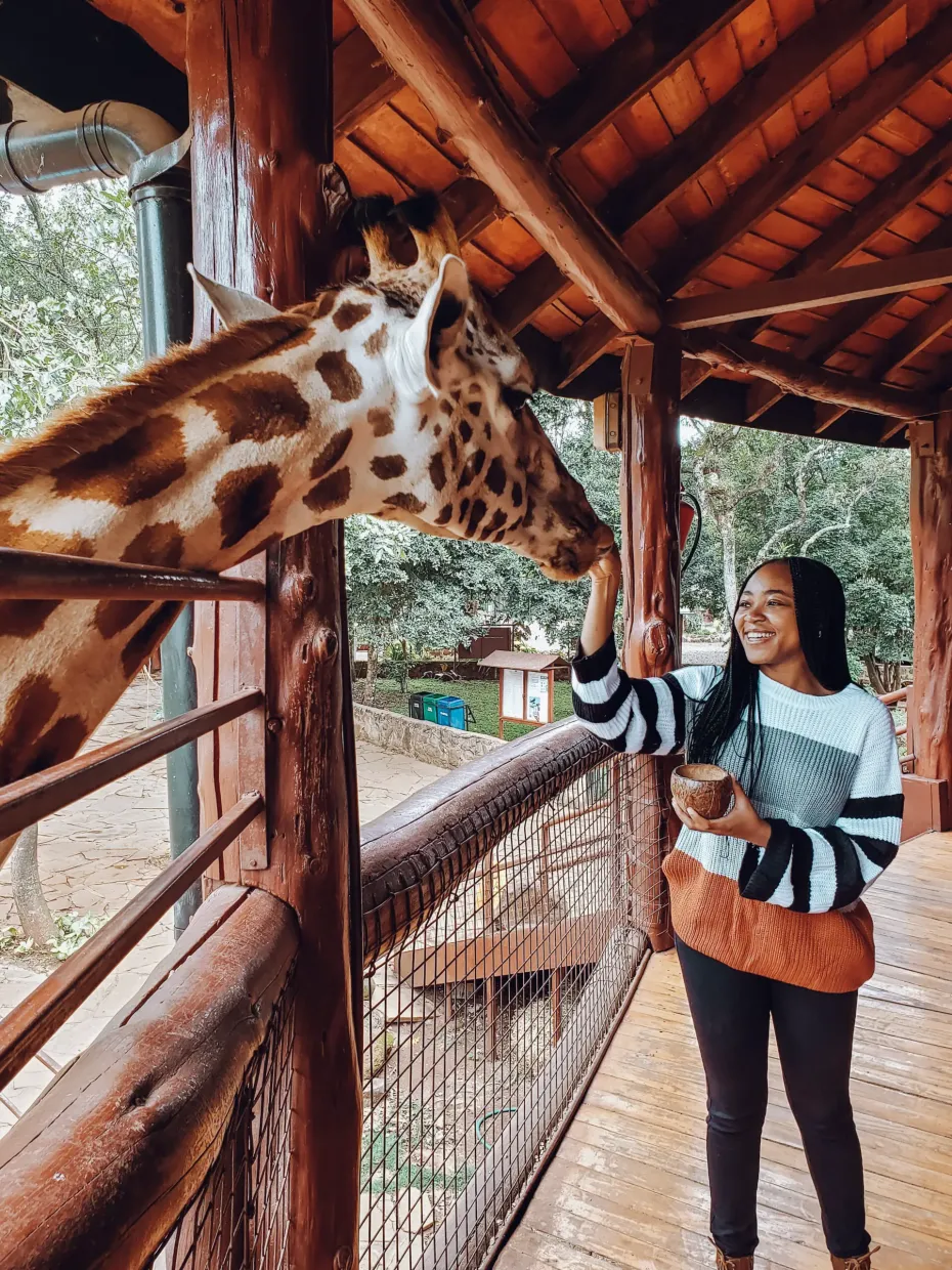 Karfe Tours & Safaris | Kenya safaris, East Africa Tour Operators, Mombasa Safaris, Nairobi Safaris