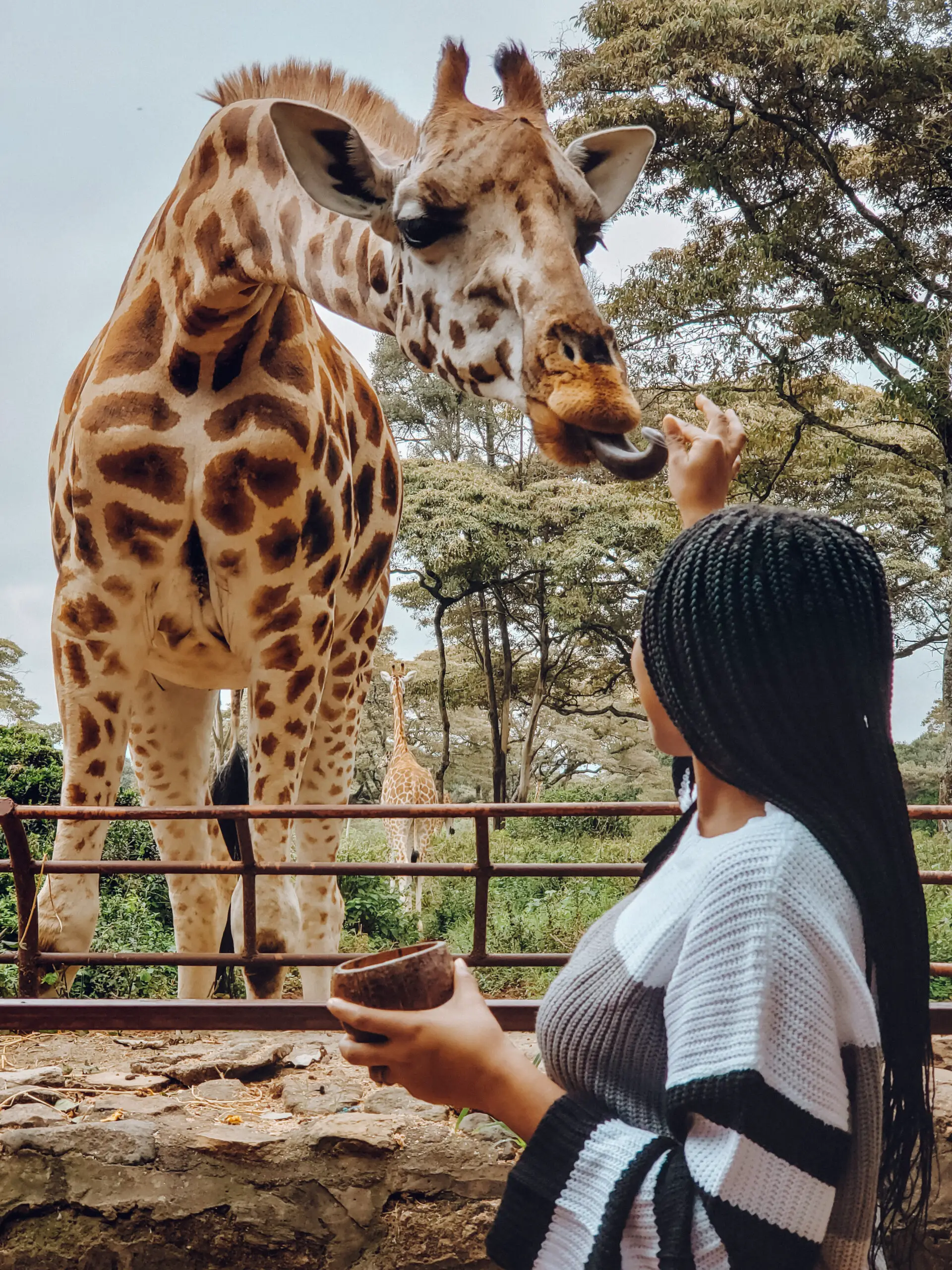 Karfe Tours & Safaris | Kenya safaris, East Africa Tour Operators, Mombasa Safaris, Nairobi Safaris