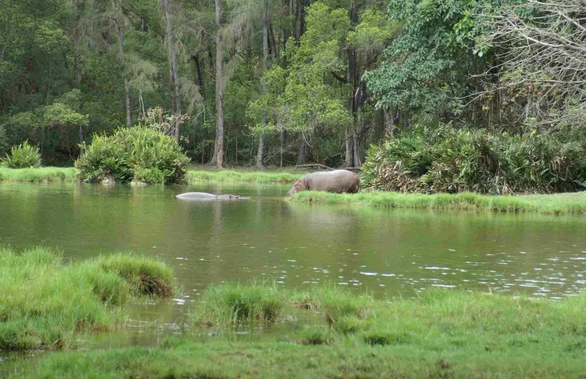 Karfe Tours & Safaris | Kenya safaris, East Africa Tour Operators, Mombasa Safaris, Nairobi Safaris