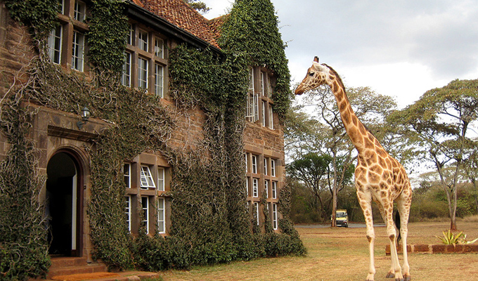 Karfe Tours & Safaris | Kenya safaris, East Africa Tour Operators, Mombasa Safaris, Nairobi Safaris