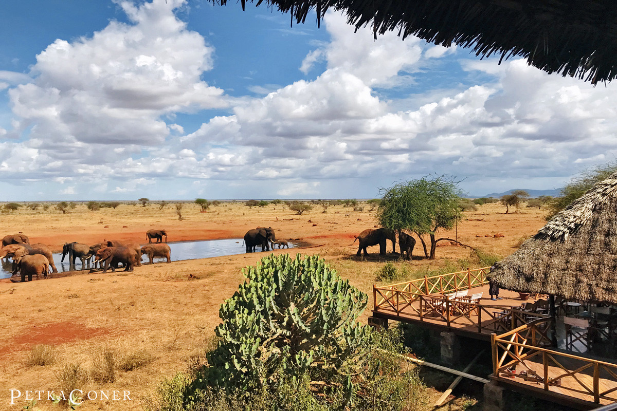 Karfe Tours & Safaris | Kenya safaris, East Africa Tour Operators, Mombasa Safaris, Nairobi Safaris