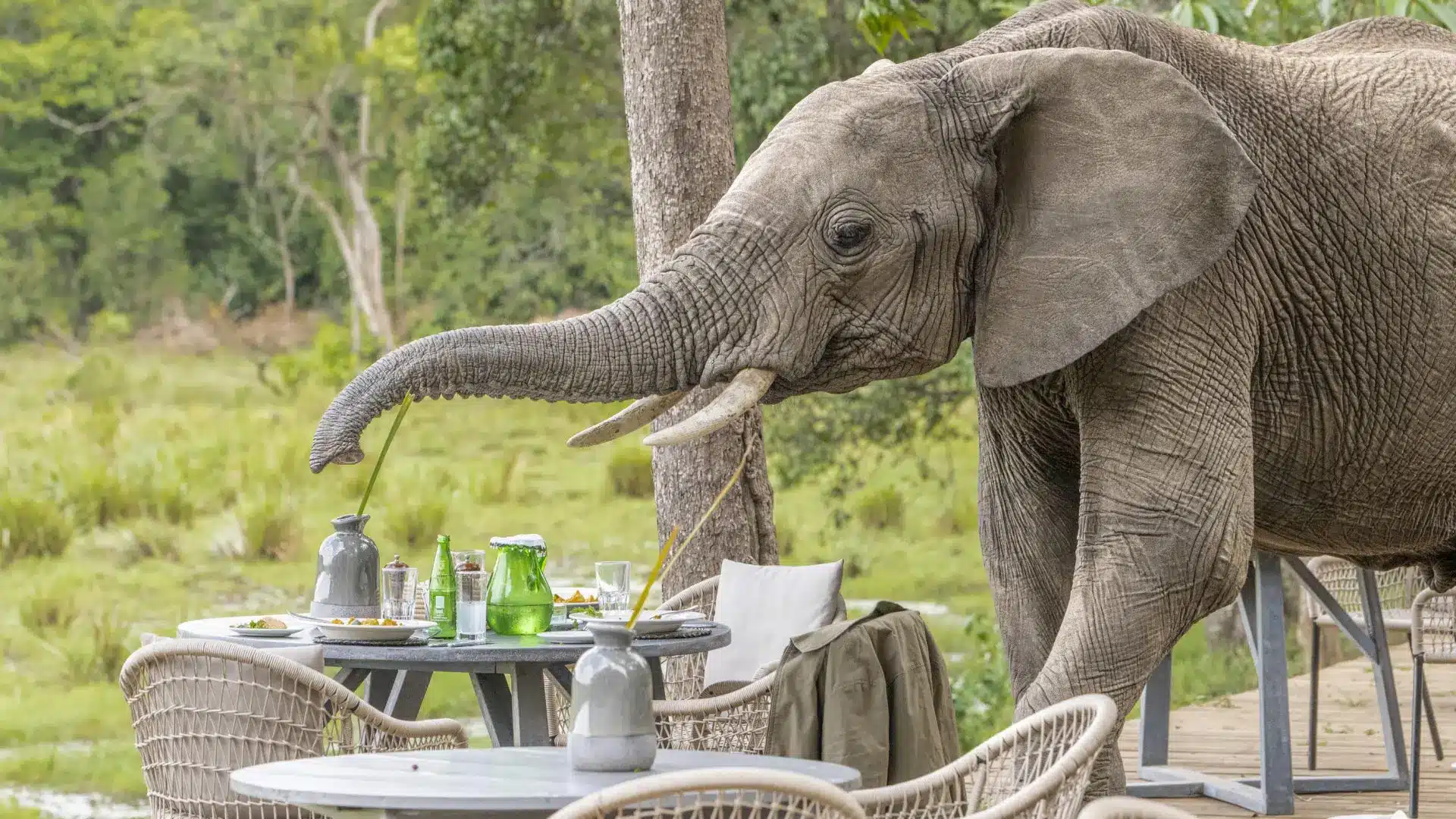 Karfe Tours & Safaris | Kenya safaris, East Africa Tour Operators, Mombasa Safaris, Nairobi Safaris