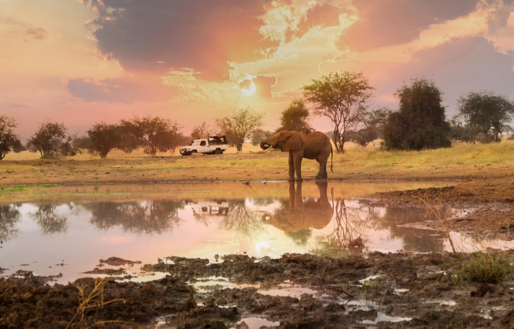 Karfe Tours & Safaris | Kenya safaris, East Africa Tour Operators, Mombasa Safaris, Nairobi Safaris