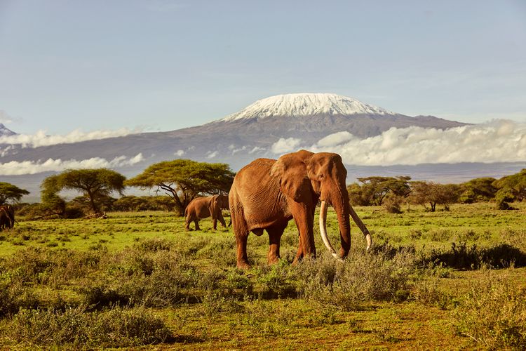 Karfe Tours & Safaris | Kenya safaris, East Africa Tour Operators, Mombasa Safaris, Nairobi Safaris