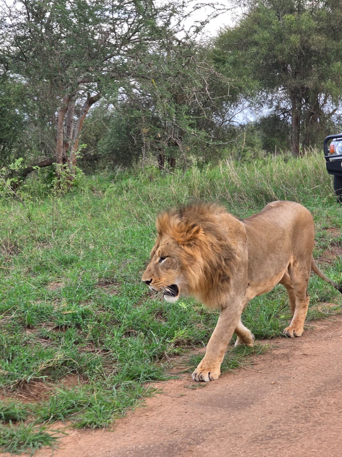 Karfe Tours & Safaris | Kenya safaris, East Africa Tour Operators, Mombasa Safaris, Nairobi Safaris