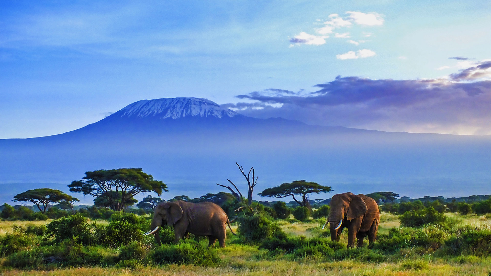Karfe Tours & Safaris | Kenya safaris, East Africa Tour Operators, Mombasa Safaris, Nairobi Safaris