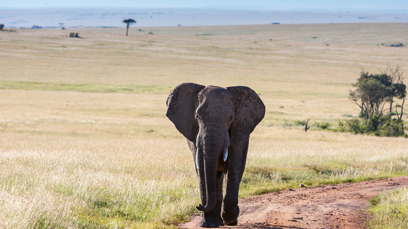 Karfe Tours & Safaris | Kenya safaris, East Africa Tour Operators, Mombasa Safaris, Nairobi Safaris