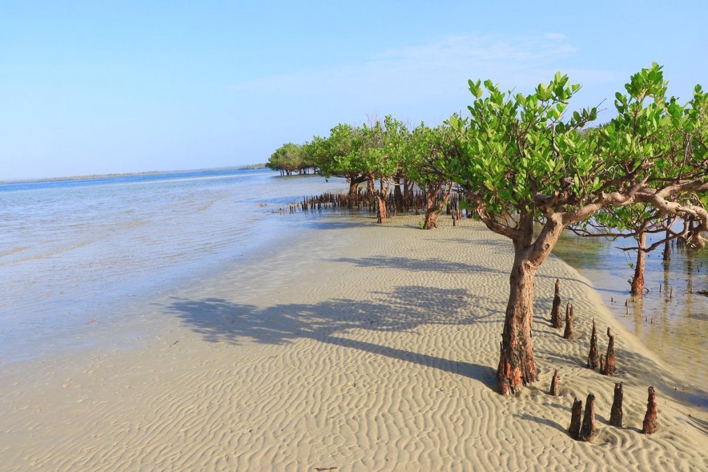 Karfe Tours & Safaris | Kenya safaris, East Africa Tour Operators, Mombasa Safaris, Nairobi Safaris