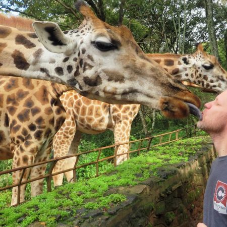 giraffe-kiss-nairobi