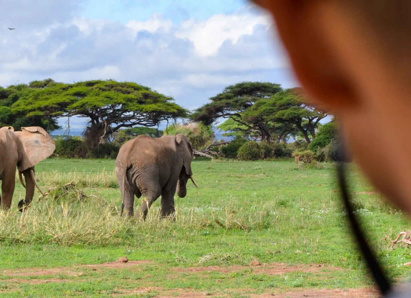 Karfe Tours & Safaris | Kenya safaris, East Africa Tour Operators, Mombasa Safaris, Nairobi Safaris