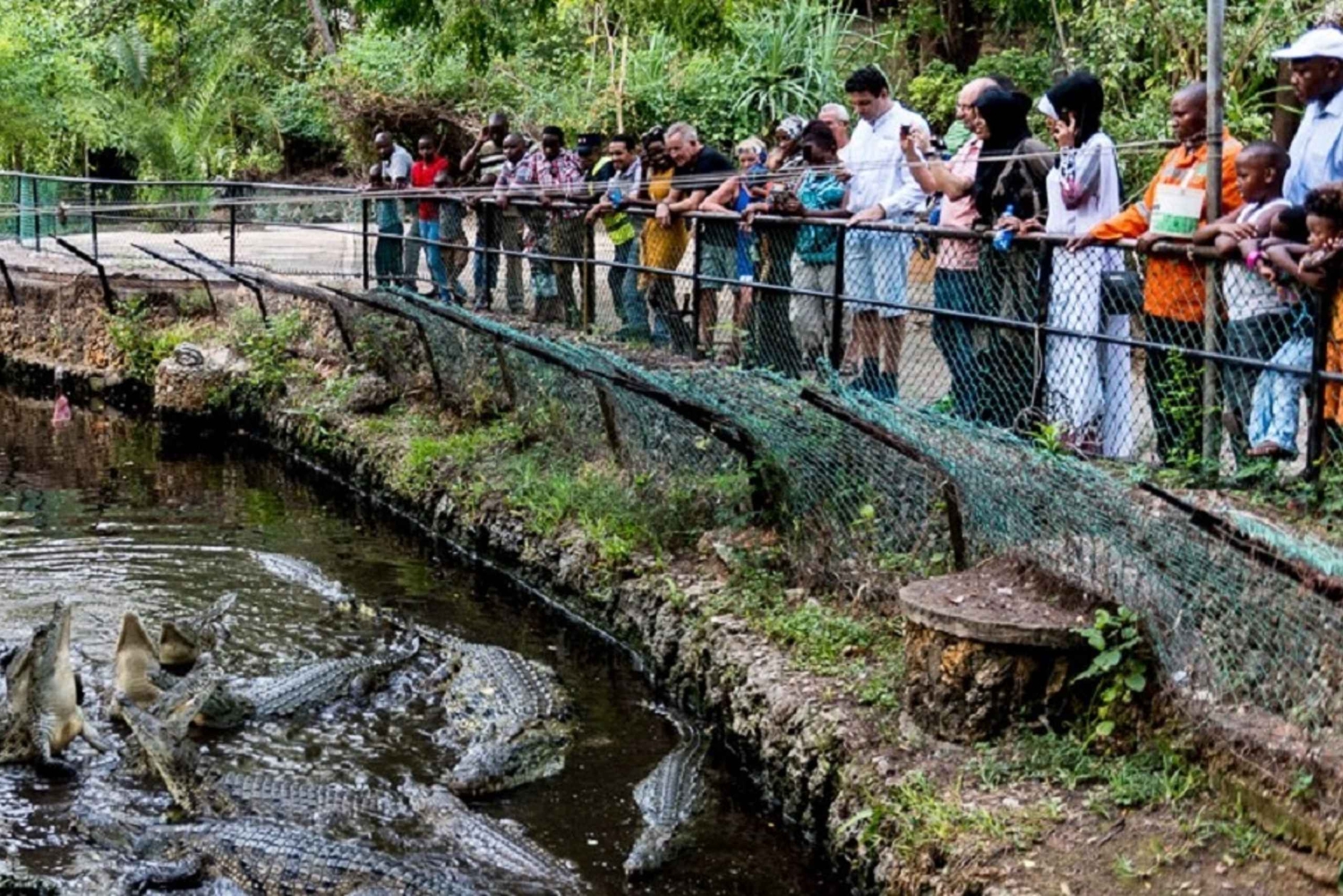 Karfe Tours & Safaris | Kenya safaris, East Africa Tour Operators, Mombasa Safaris, Nairobi Safaris