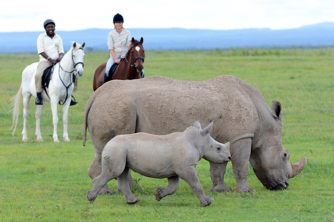 Karfe Tours & Safaris | Kenya safaris, East Africa Tour Operators, Mombasa Safaris, Nairobi Safaris