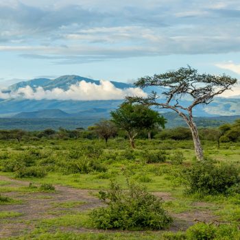 pexels-balazsimon-6901091