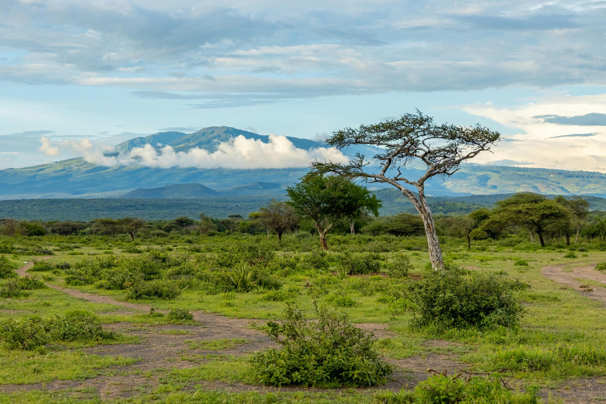 Karfe Tours & Safaris | Kenya safaris, East Africa Tour Operators, Mombasa Safaris, Nairobi Safaris