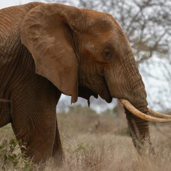 pexels-beatz-5044032