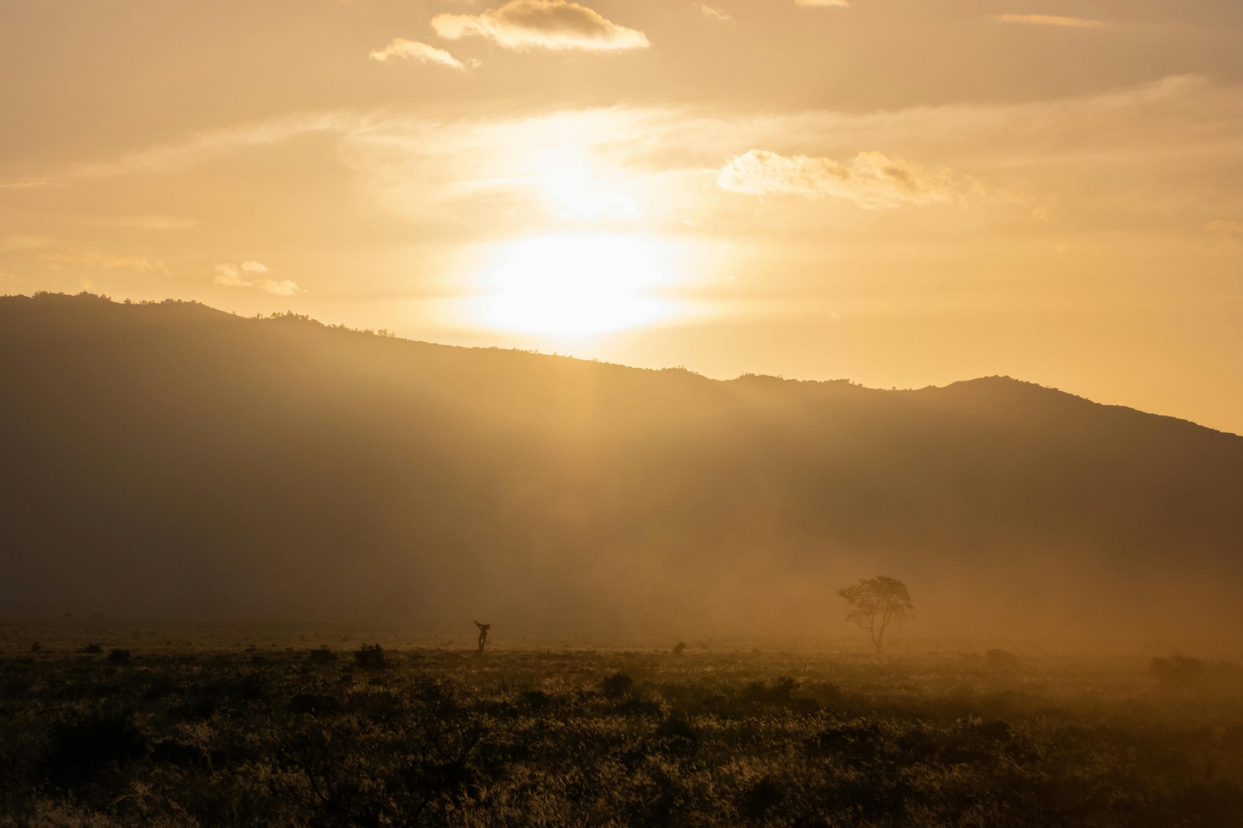 Karfe Tours & Safaris | Kenya safaris, East Africa Tour Operators, Mombasa Safaris, Nairobi Safaris