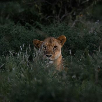 pexels-beatz-6318163