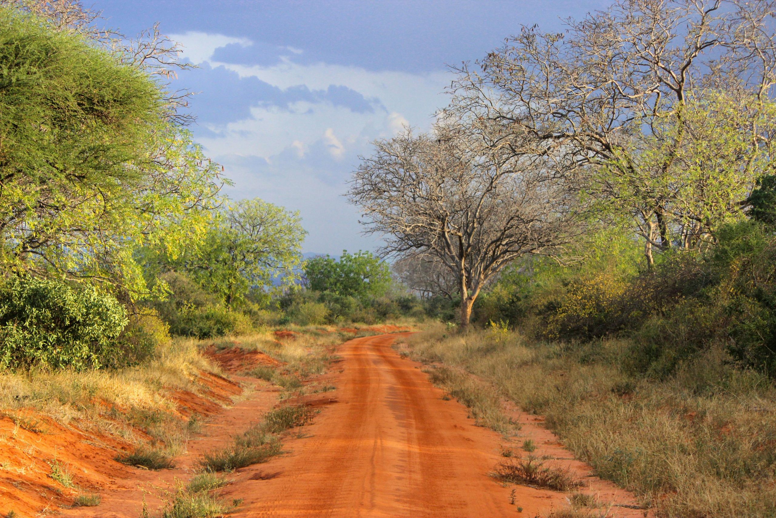 Karfe Tours & Safaris | Kenya safaris, East Africa Tour Operators, Mombasa Safaris, Nairobi Safaris