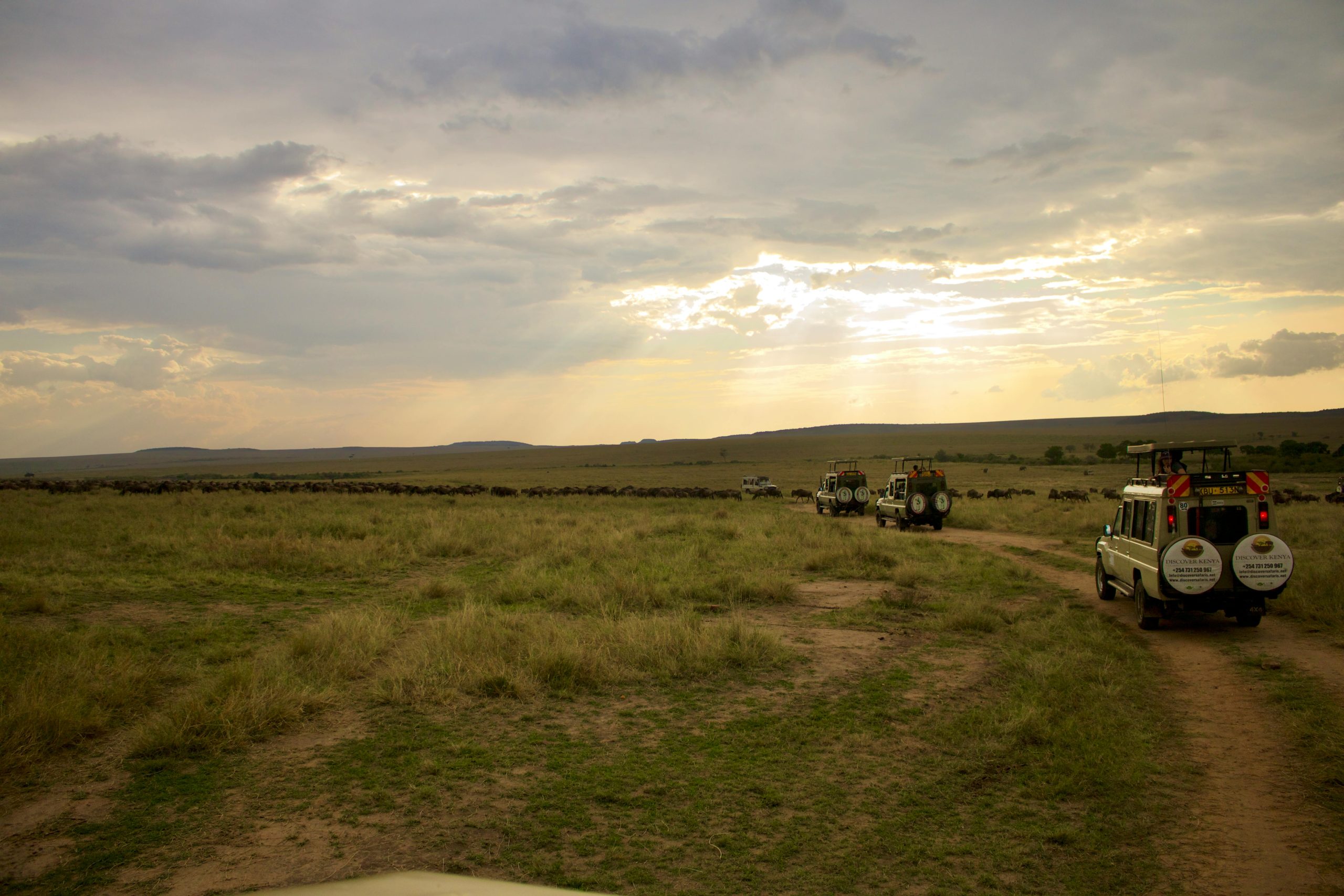 Karfe Tours & Safaris | Kenya safaris, East Africa Tour Operators, Mombasa Safaris, Nairobi Safaris