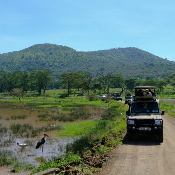 pexels-mary-rose-relente-722720629-33473218