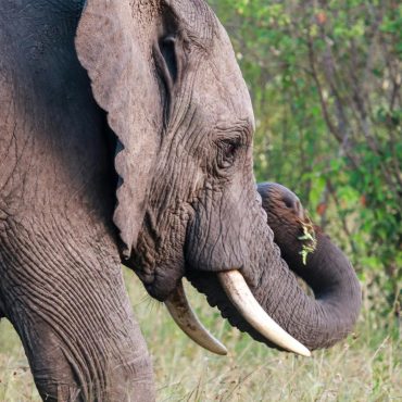 pexels-mr-sketch-55235740-20334785