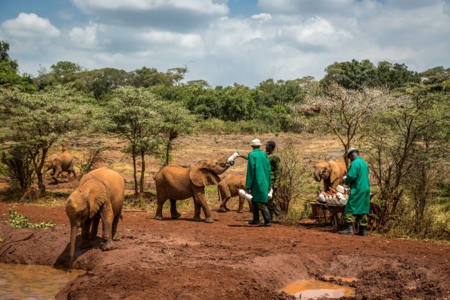 Karfe Tours & Safaris | Kenya safaris, East Africa Tour Operators, Mombasa Safaris, Nairobi Safaris