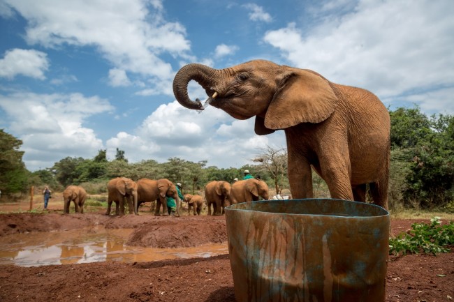 Karfe Tours & Safaris | Kenya safaris, East Africa Tour Operators, Mombasa Safaris, Nairobi Safaris