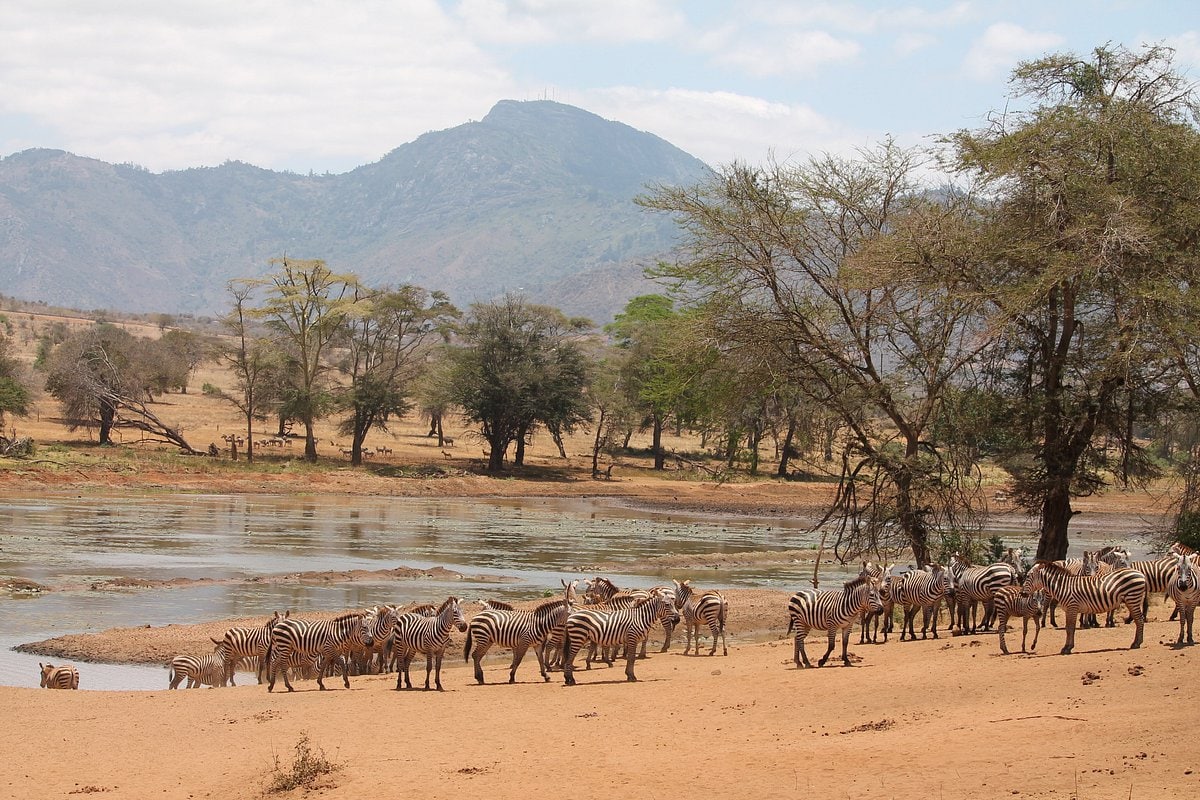 Karfe Tours & Safaris | Kenya safaris, East Africa Tour Operators, Mombasa Safaris, Nairobi Safaris